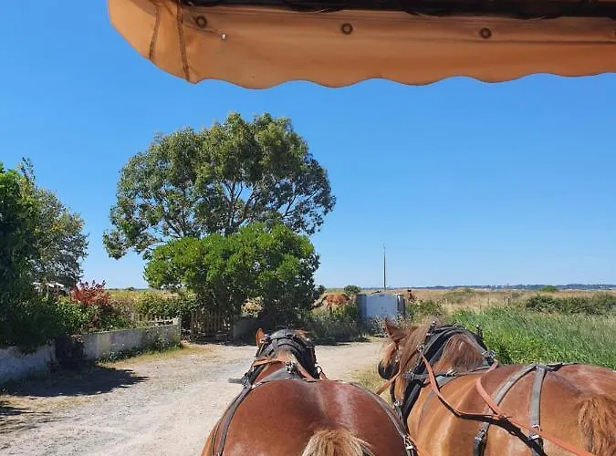 شقة Kelveine لو بولين